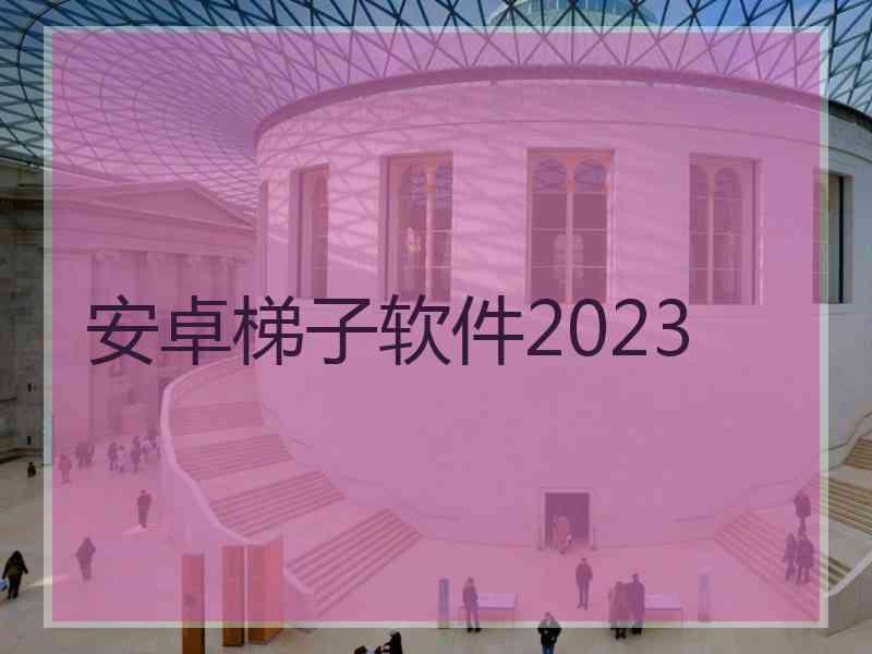 安卓梯子软件2023