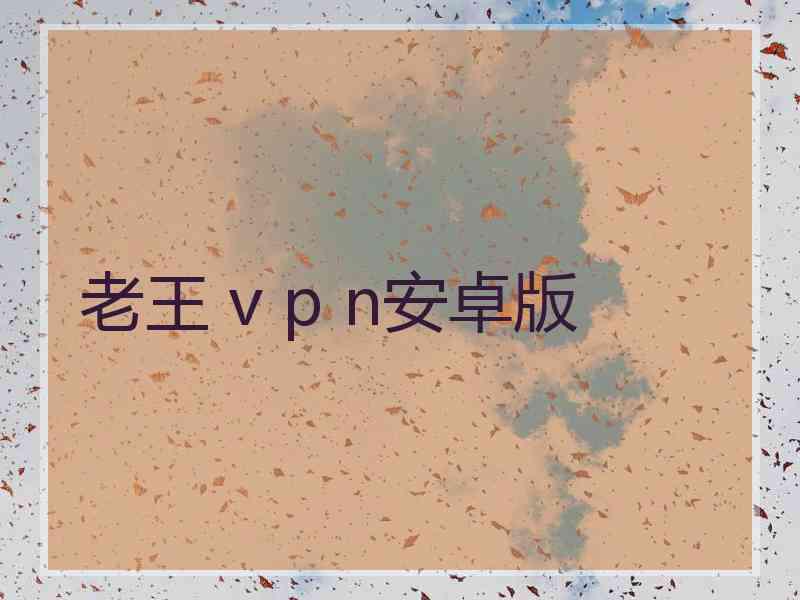 老王 v p n安卓版