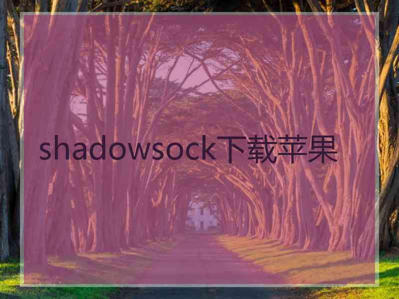 shadowsock下载苹果