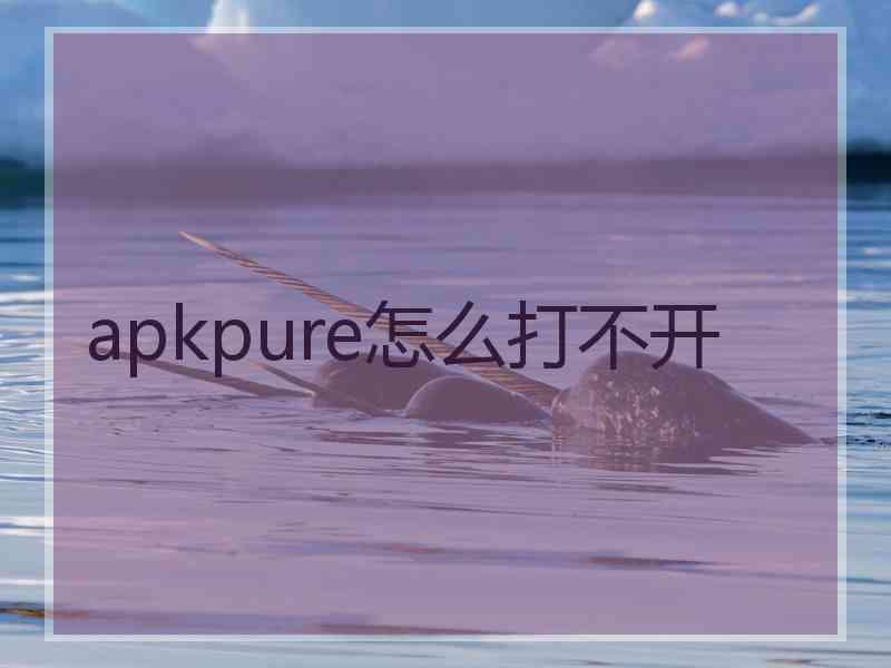 apkpure怎么打不开