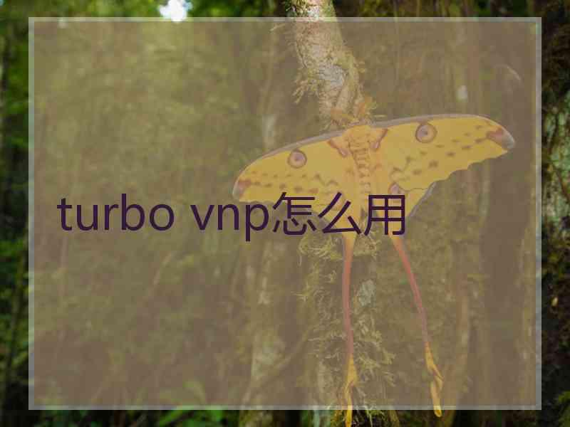 turbo vnp怎么用