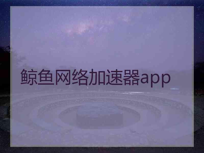 鲸鱼网络加速器app