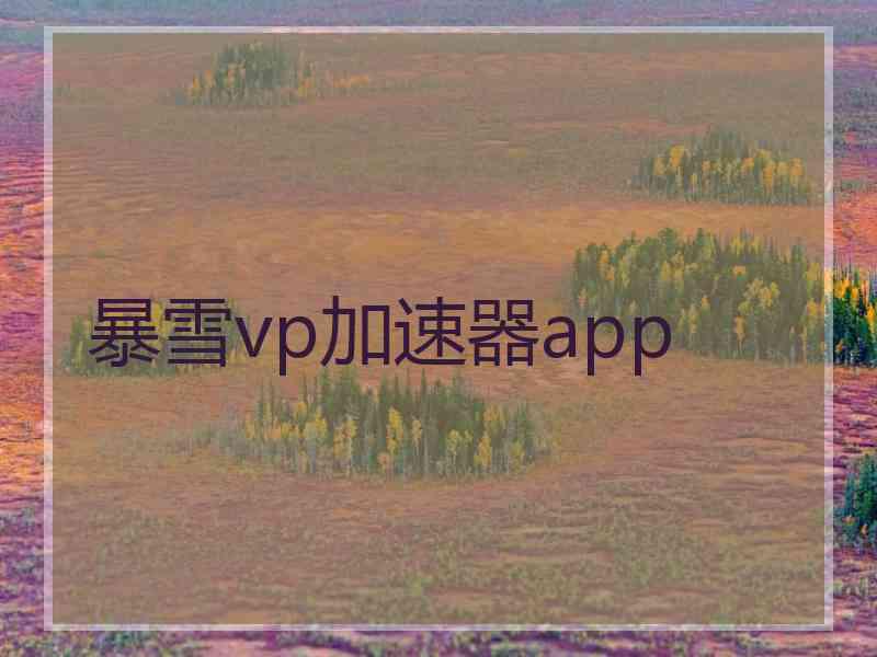 暴雪vp加速器app