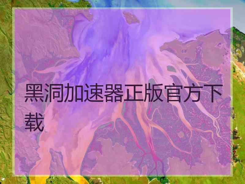 黑洞加速器正版官方下载