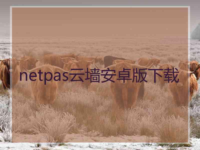 netpas云墙安卓版下载