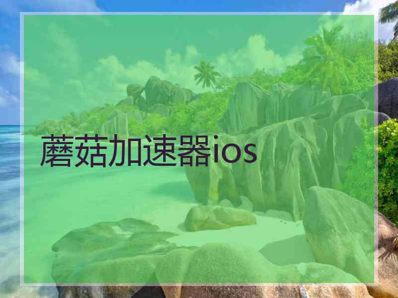 蘑菇加速器ios