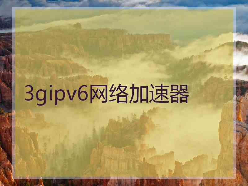 3gipv6网络加速器