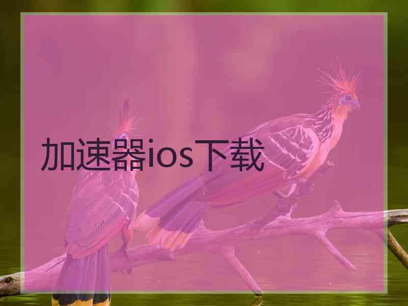 加速器ios下载