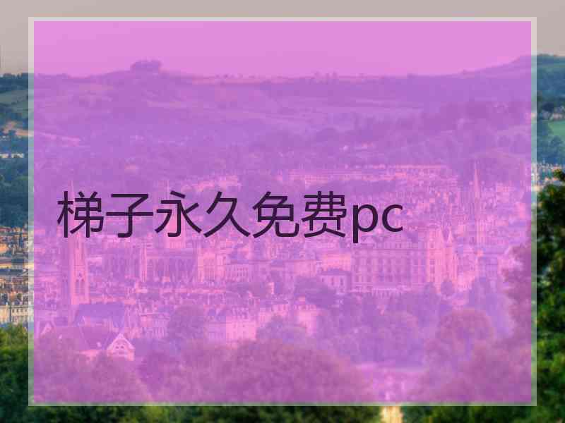 梯子永久免费pc