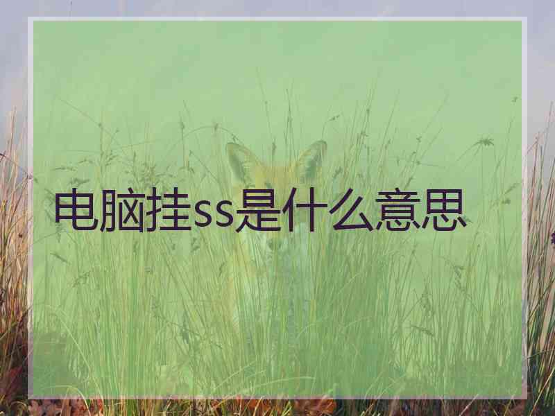 电脑挂ss是什么意思