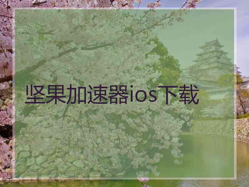 坚果加速器ios下载